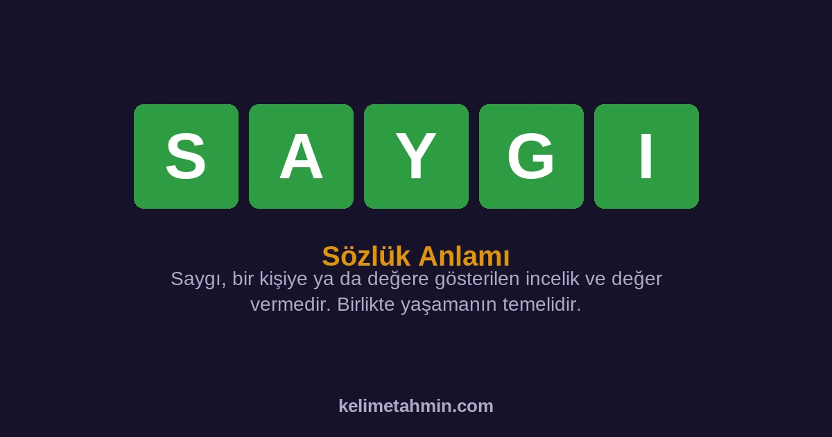 SAYGI SAYGI — anlamı ve örnek cümleler
