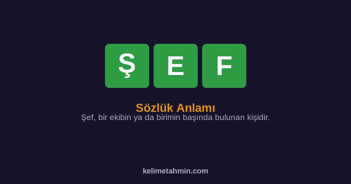 ŞEF ŞEF — anlamı ve örnek cümleler