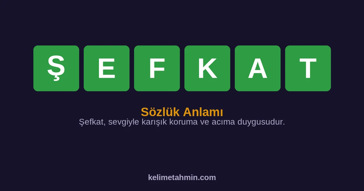 ŞEFKAT ŞEFKAT — anlamı ve örnek cümleler