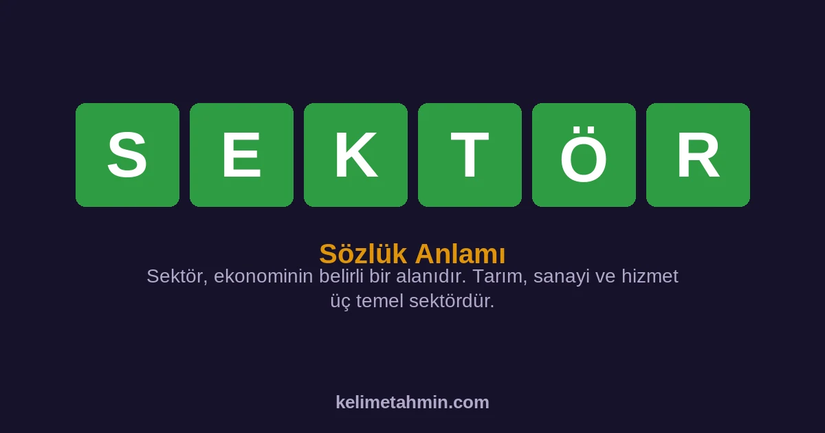 SEKTÖR SEKTÖR — anlamı ve örnek cümleler