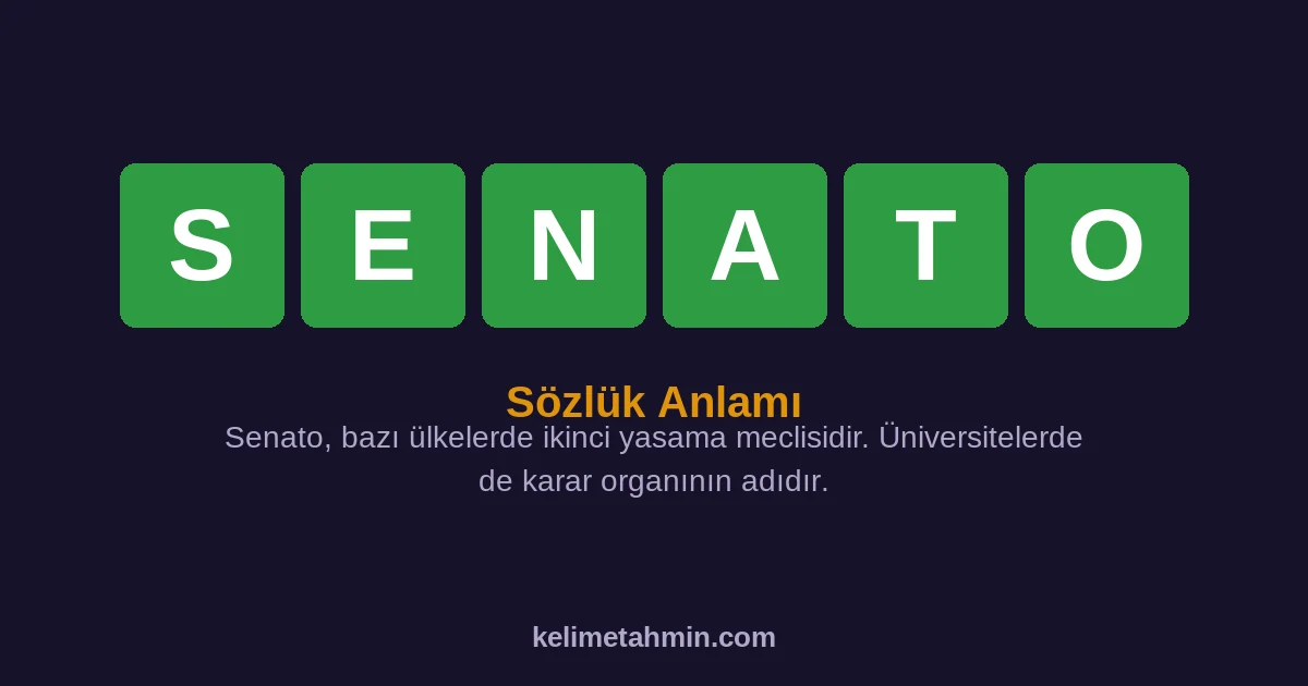 SENATO SENATO — anlamı ve örnek cümleler