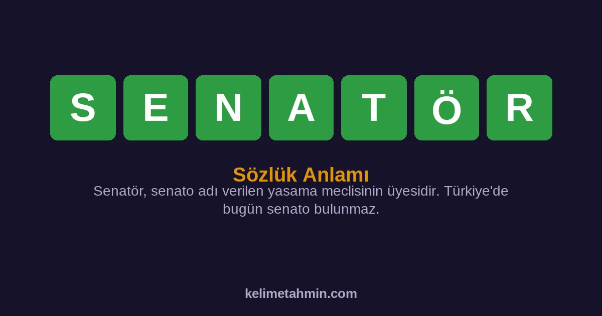SENATÖR SENATÖR — anlamı ve örnek cümleler