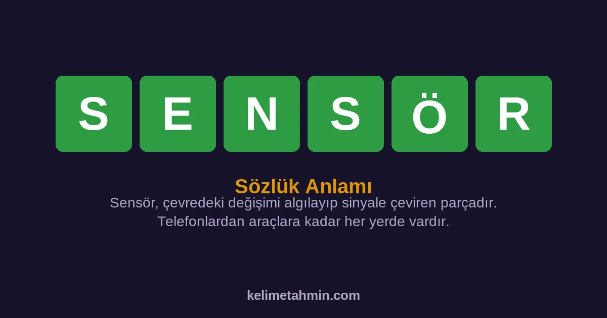 SENSÖR SENSÖR — anlamı ve örnek cümleler