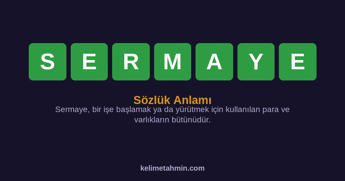 SERMAYE SERMAYE — anlamı ve örnek cümleler