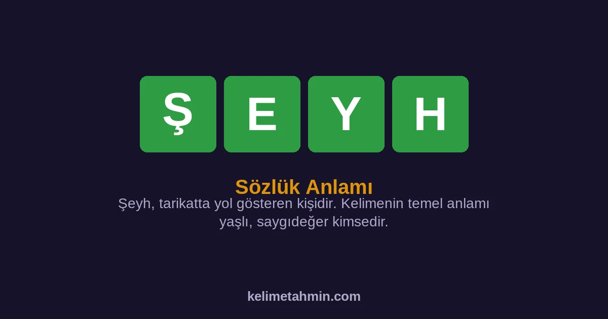 ŞEYH ŞEYH — anlamı ve örnek cümleler
