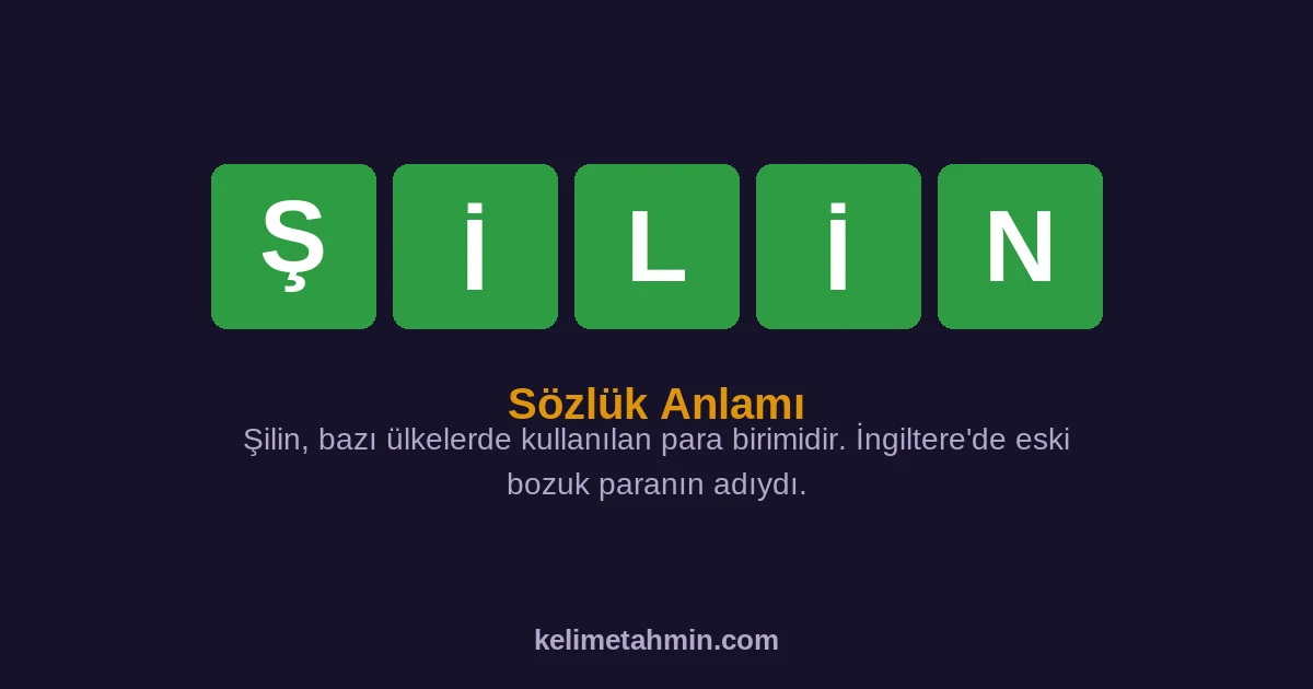 ŞİLİN ŞİLİN — anlamı ve örnek cümleler