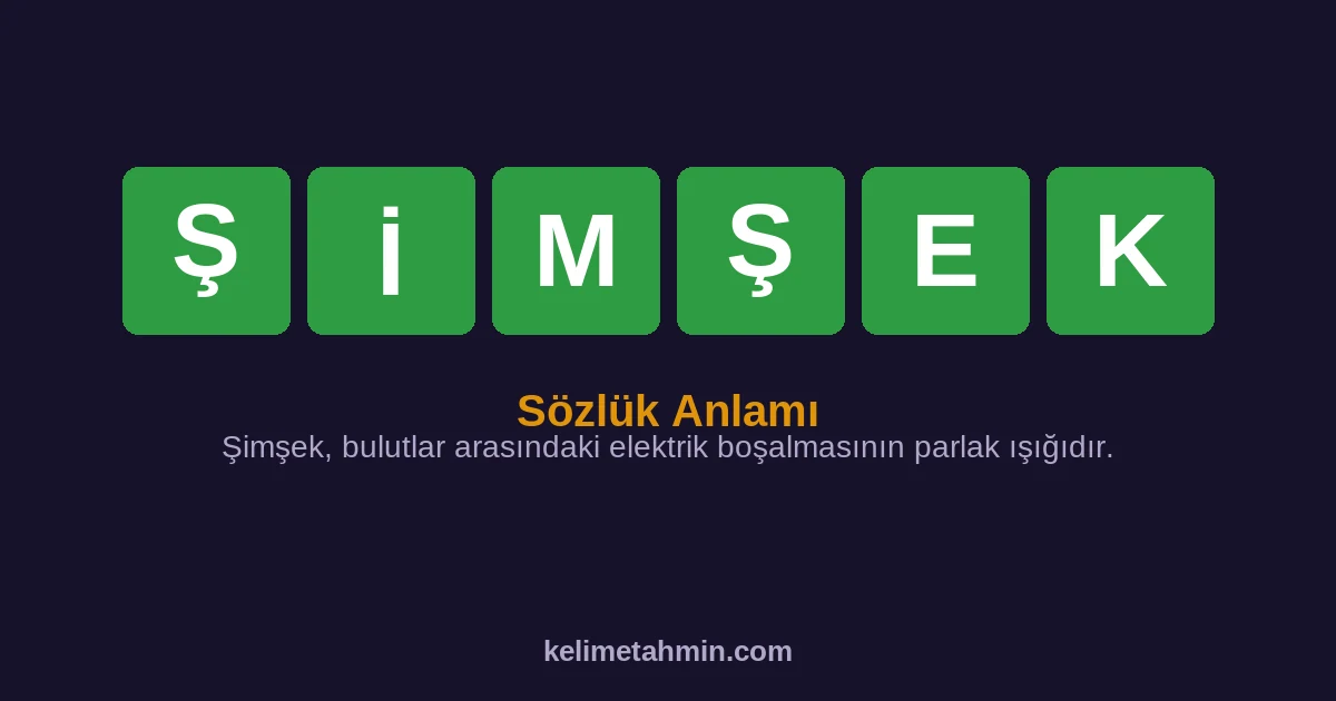ŞİMŞEK ŞİMŞEK — anlamı ve örnek cümleler