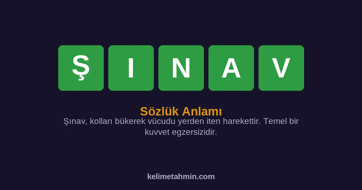 ŞINAV ŞINAV — anlamı ve örnek cümleler