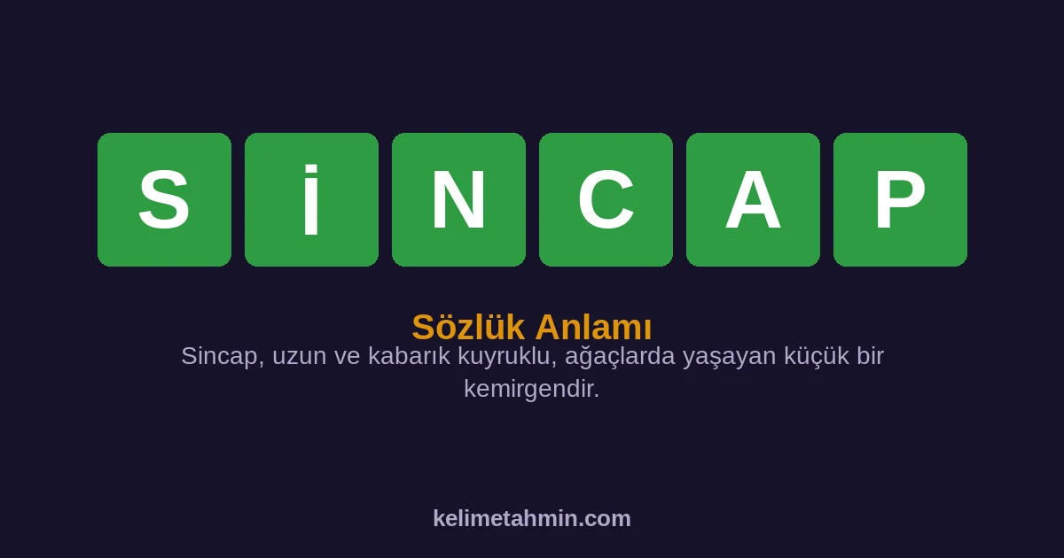 SİNCAP SİNCAP — anlamı ve örnek cümleler