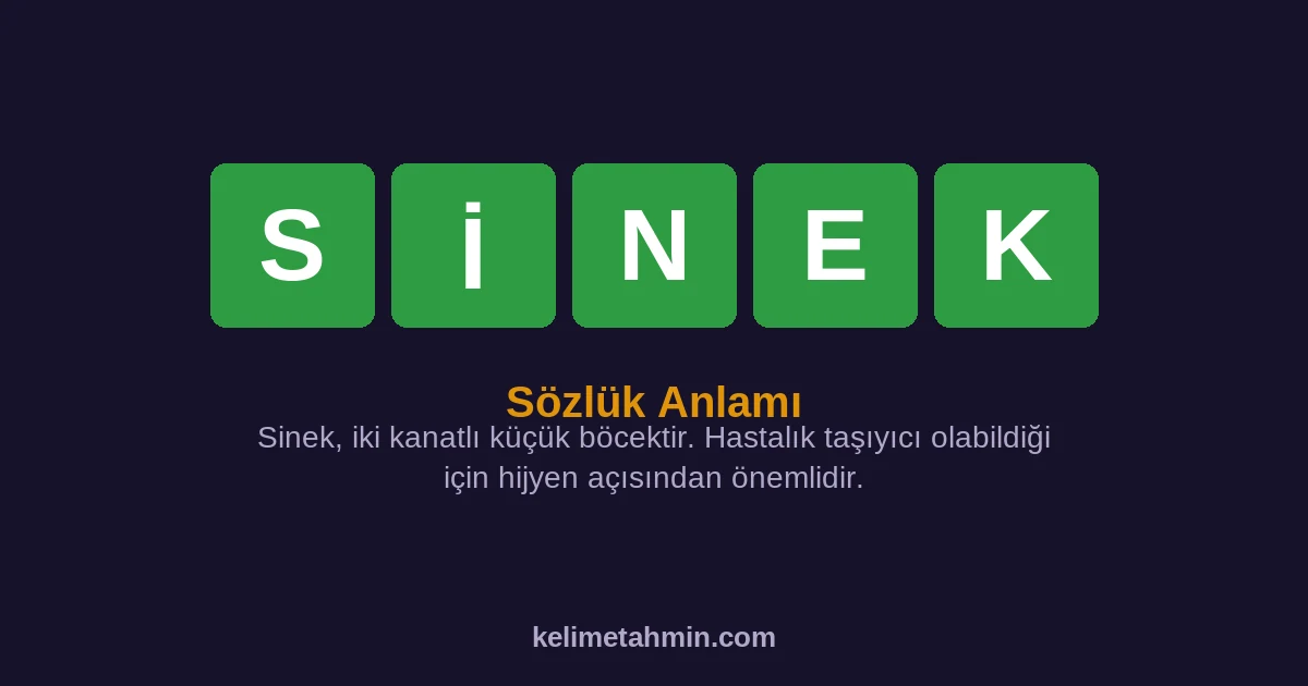 SİNEK SİNEK — anlamı ve örnek cümleler