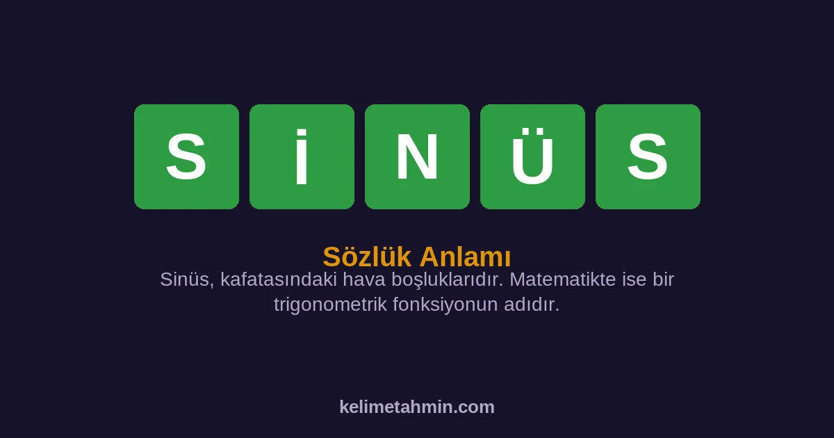 SİNÜS SİNÜS — anlamı ve örnek cümleler