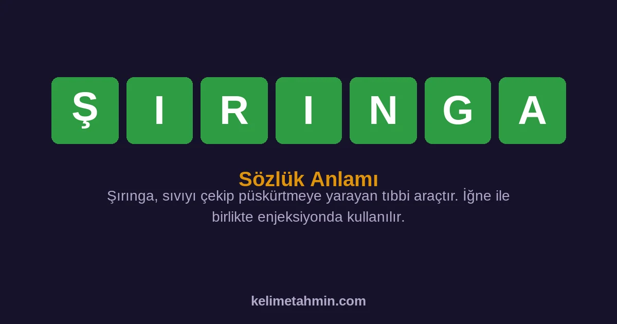 ŞIRINGA ŞIRINGA — anlamı ve örnek cümleler