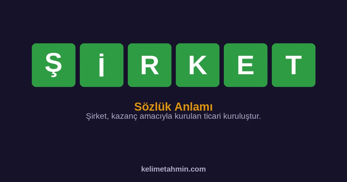 ŞİRKET ŞİRKET — anlamı ve örnek cümleler