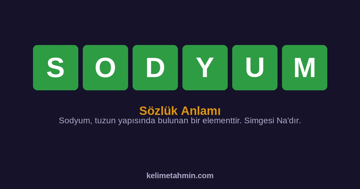 SODYUM SODYUM — anlamı ve örnek cümleler