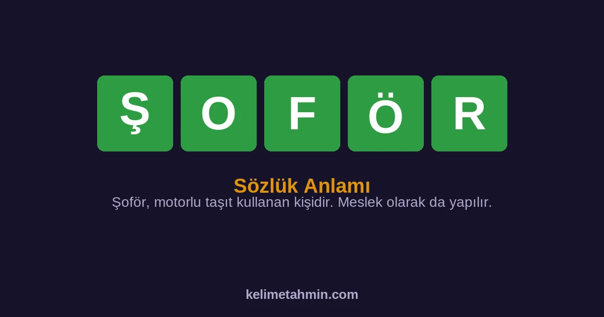 ŞOFÖR ŞOFÖR — anlamı ve örnek cümleler