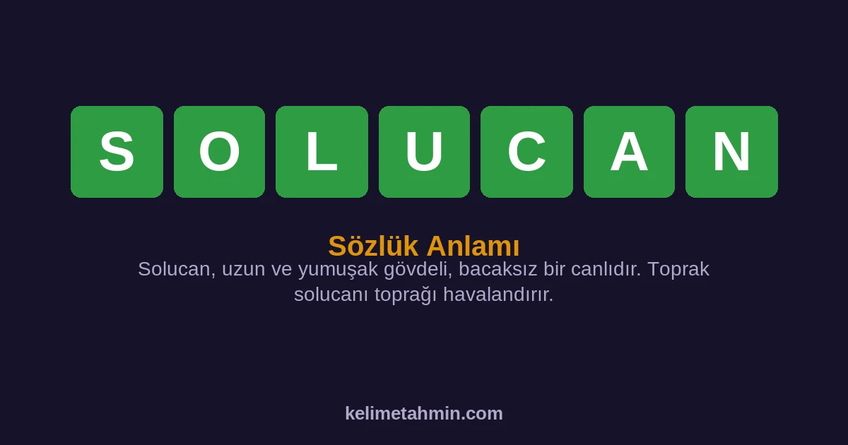 SOLUCAN SOLUCAN — anlamı ve örnek cümleler