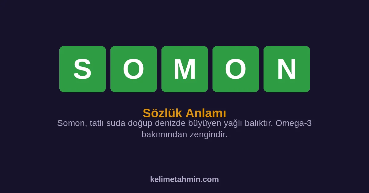 SOMON SOMON — anlamı ve örnek cümleler