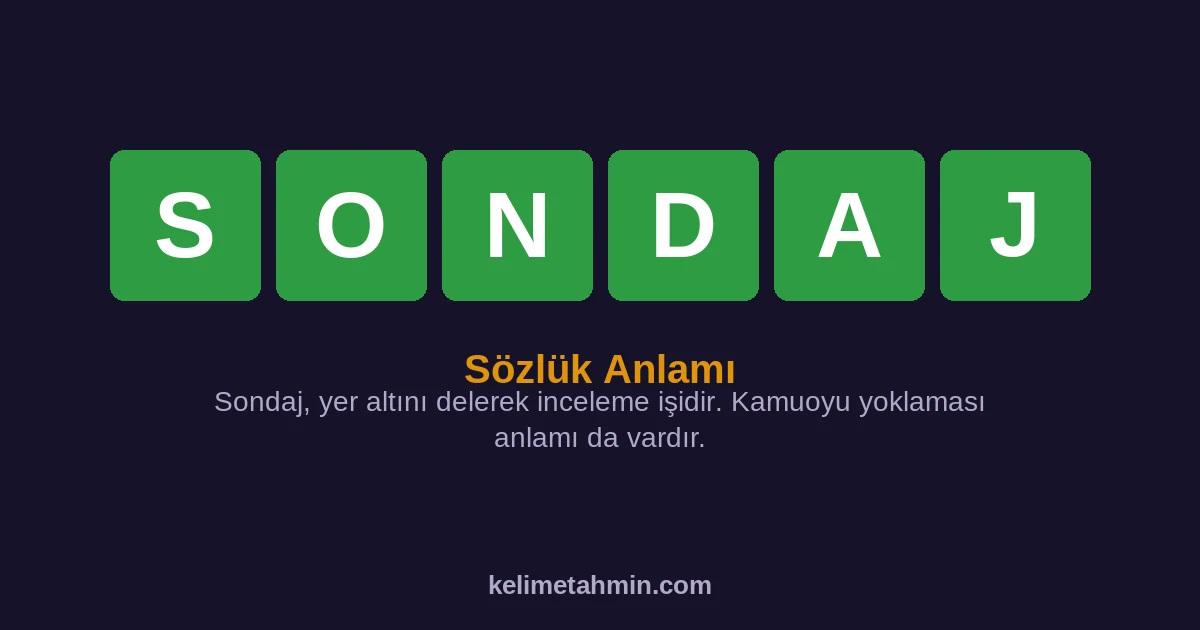 SONDAJ SONDAJ — anlamı ve örnek cümleler