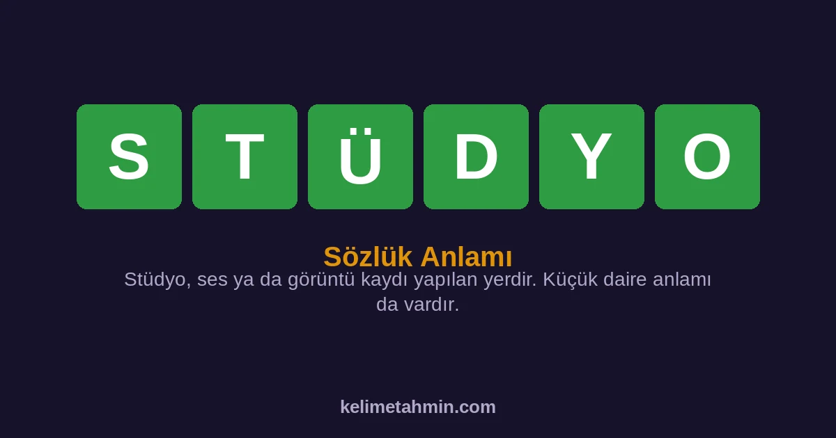 STÜDYO STÜDYO — anlamı ve örnek cümleler