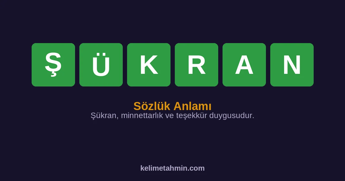 ŞÜKRAN ŞÜKRAN — anlamı ve örnek cümleler