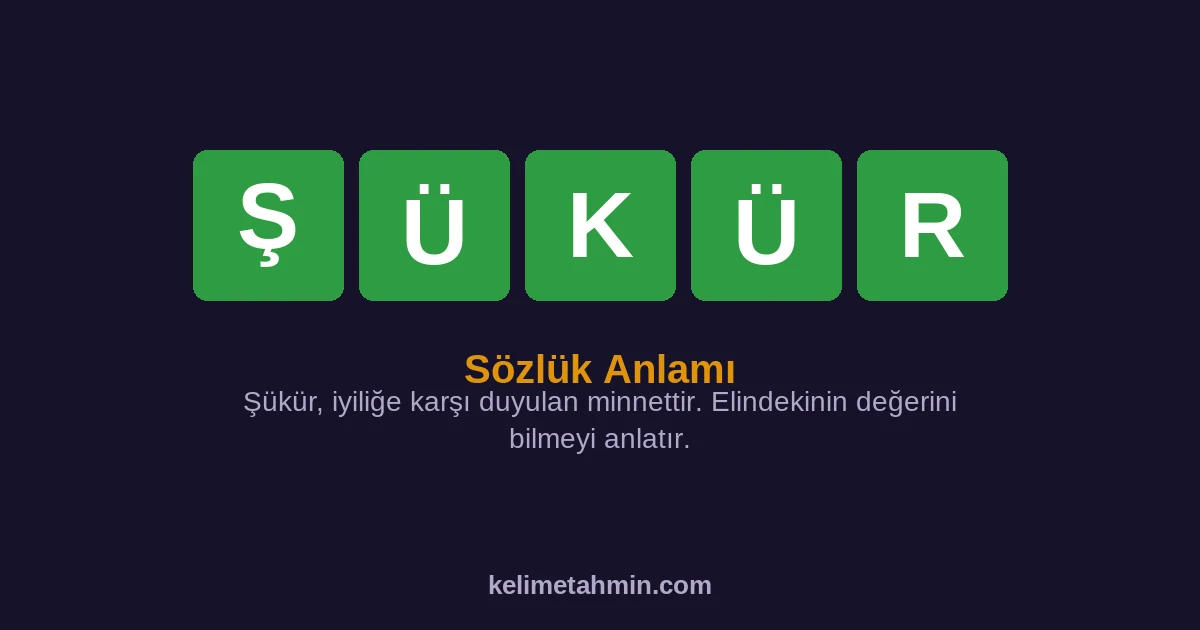 ŞÜKÜR ŞÜKÜR — anlamı ve örnek cümleler