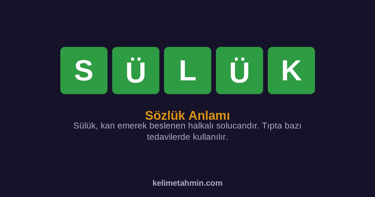 SÜLÜK SÜLÜK — anlamı ve örnek cümleler