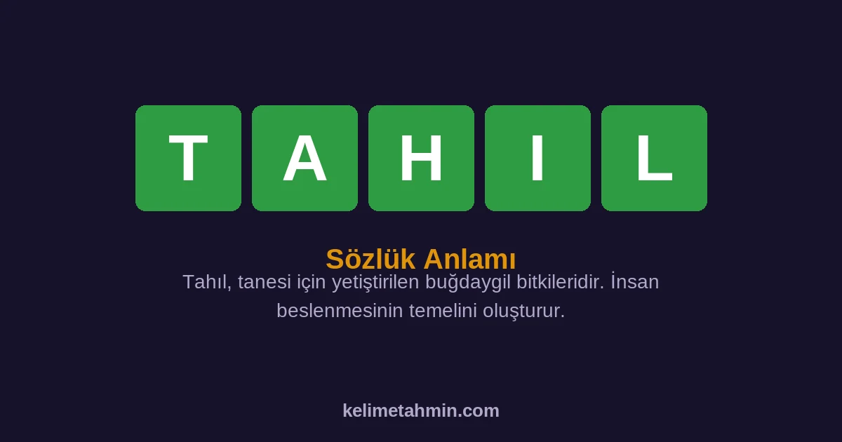 TAHIL TAHIL — anlamı ve örnek cümleler