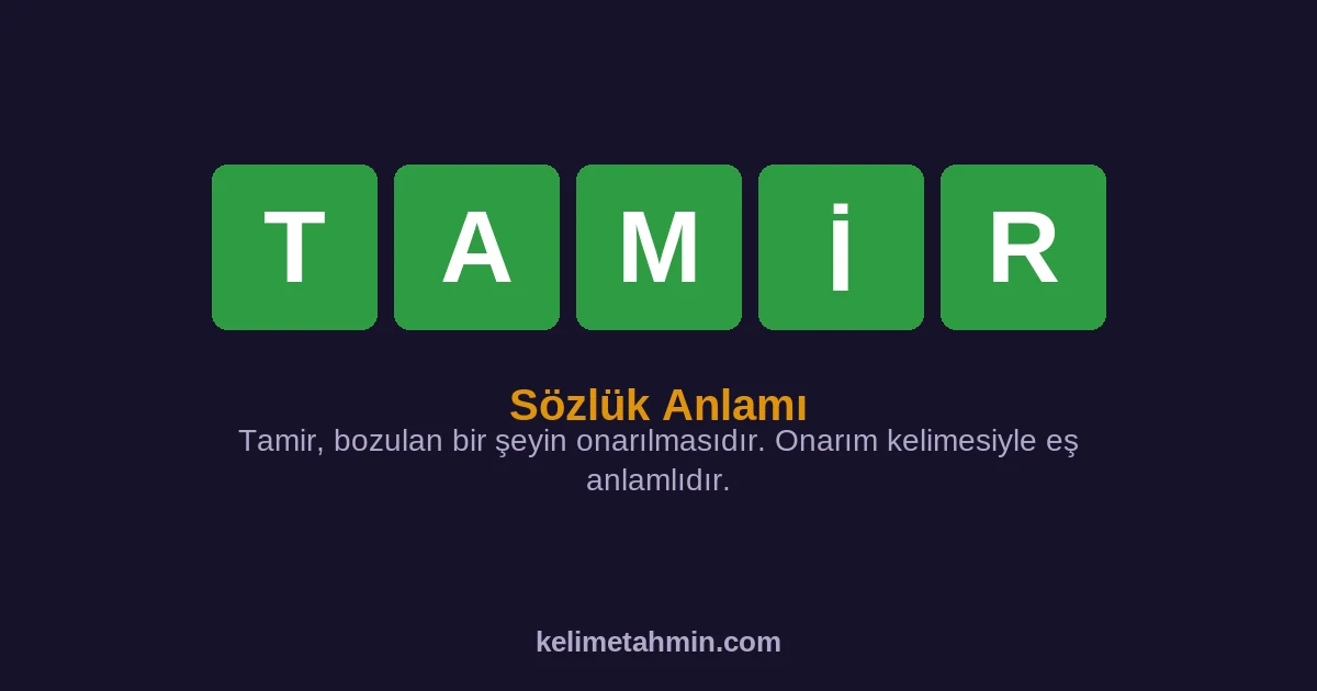 TAMİR TAMİR — anlamı ve örnek cümleler