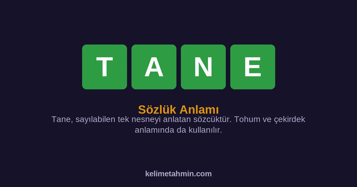 TANE TANE — anlamı ve örnek cümleler