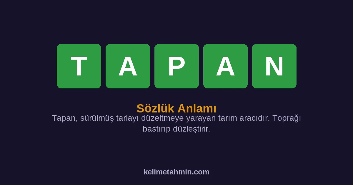 TAPAN TAPAN — anlamı ve örnek cümleler