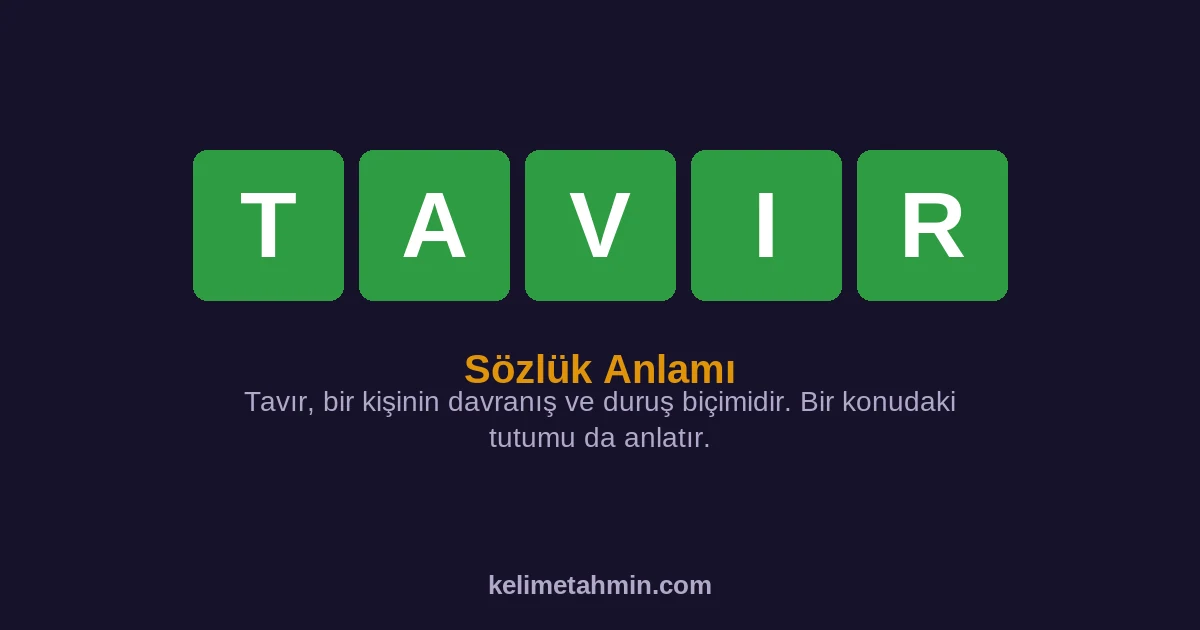 TAVIR TAVIR — anlamı ve örnek cümleler