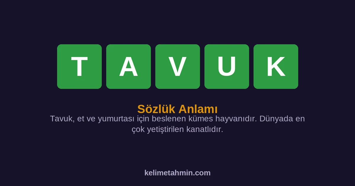 TAVUK TAVUK — anlamı ve örnek cümleler