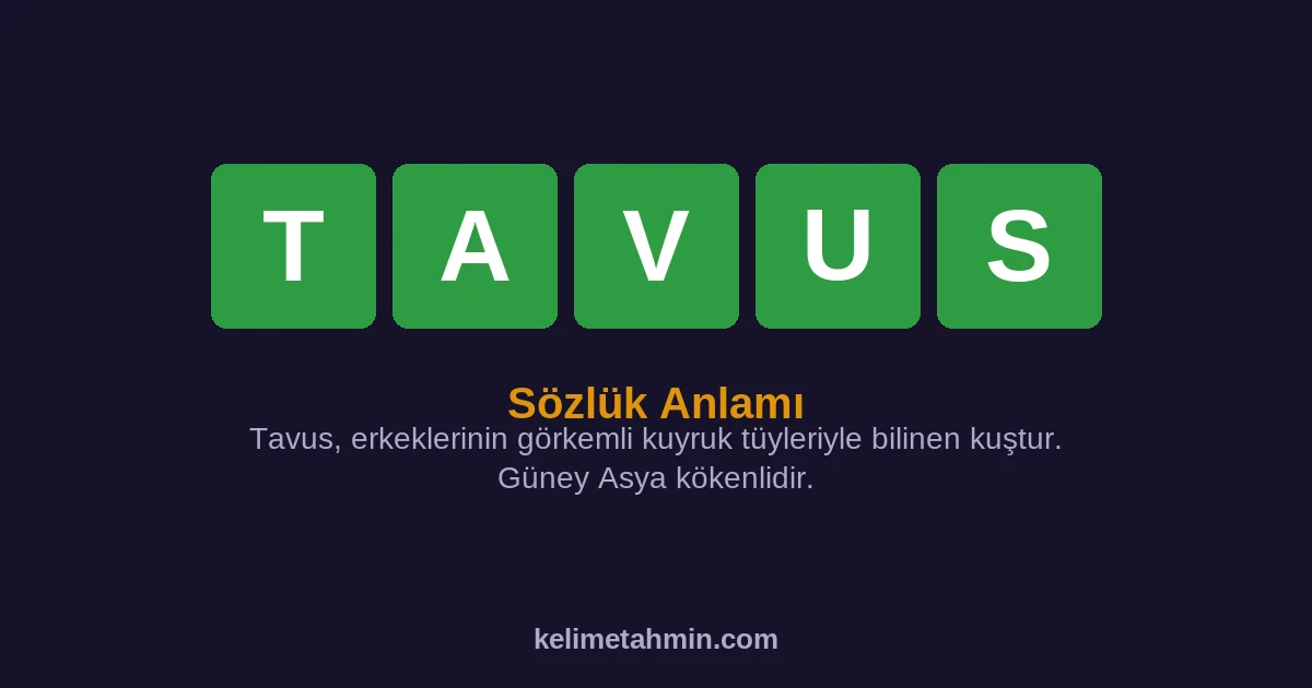 TAVUS TAVUS — anlamı ve örnek cümleler