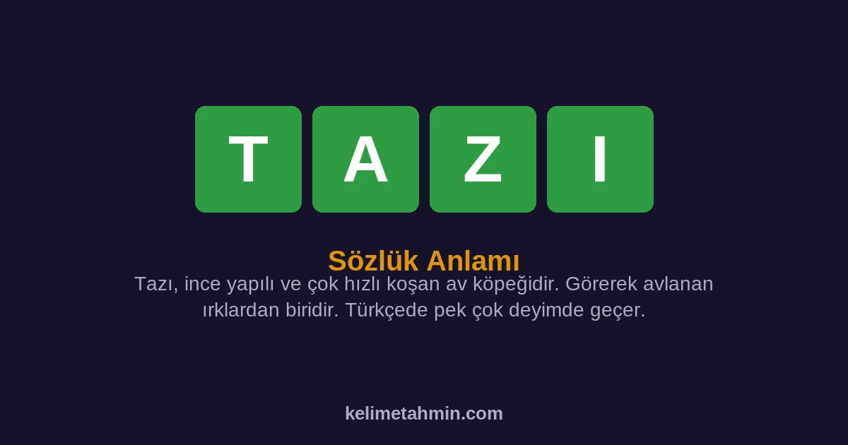 TAZI TAZI — anlamı ve örnek cümleler
