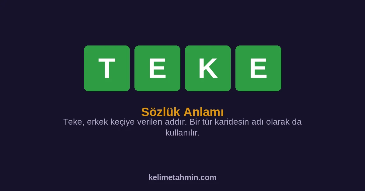 TEKE TEKE — anlamı ve örnek cümleler