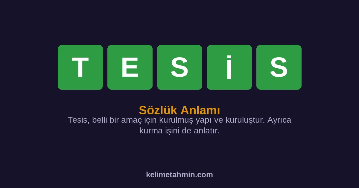 TESİS TESİS — anlamı ve örnek cümleler