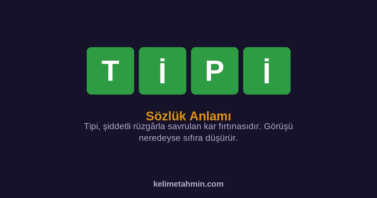 TİPİ TİPİ — anlamı ve örnek cümleler