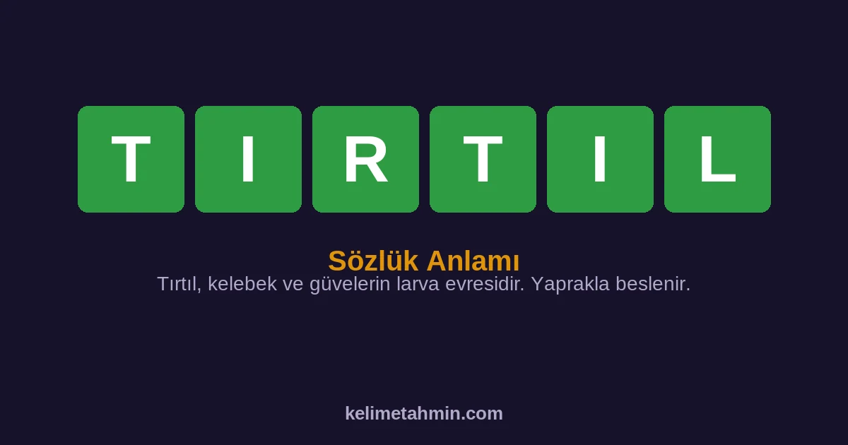 TIRTIL TIRTIL — anlamı ve örnek cümleler