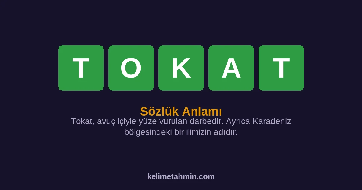 TOKAT TOKAT — anlamı ve örnek cümleler
