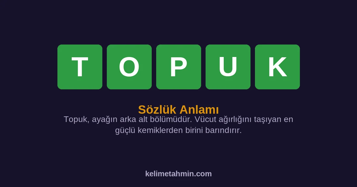 TOPUK TOPUK — anlamı ve örnek cümleler