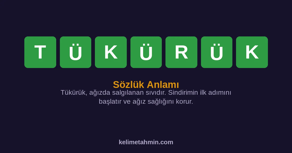 TÜKÜRÜK TÜKÜRÜK — anlamı ve örnek cümleler