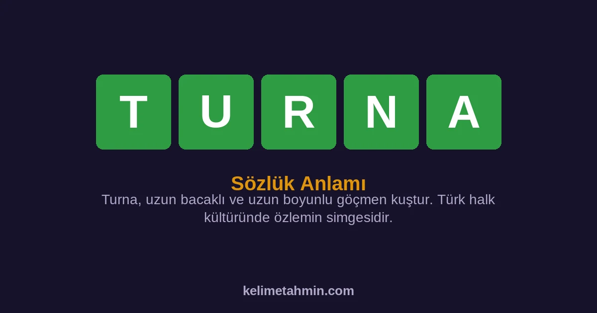 TURNA TURNA — anlamı ve örnek cümleler
