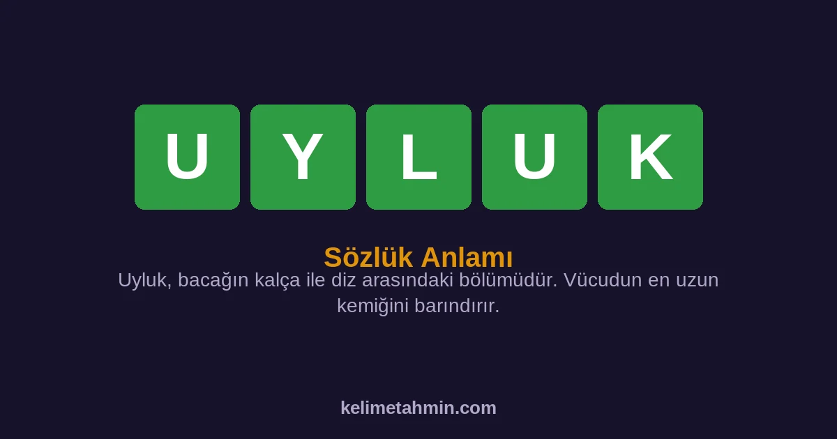 UYLUK UYLUK — anlamı ve örnek cümleler