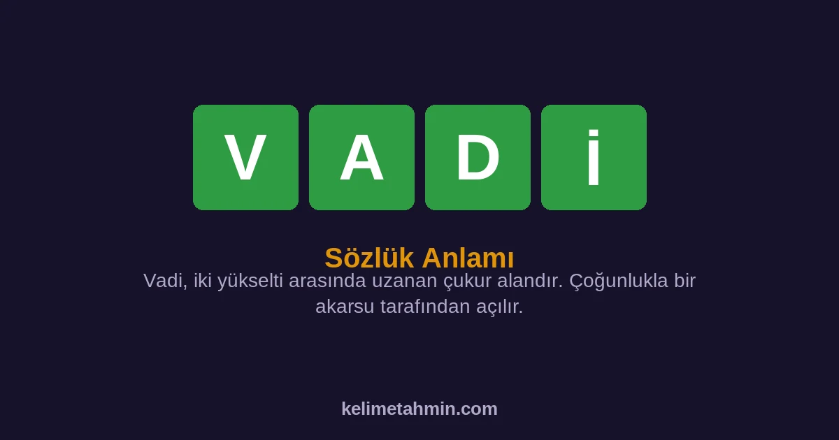 VADİ VADİ — anlamı ve örnek cümleler