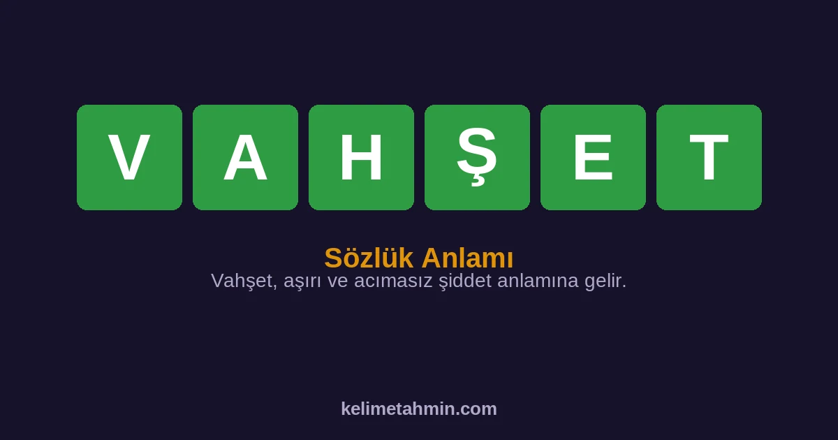 VAHŞET VAHŞET — anlamı ve örnek cümleler