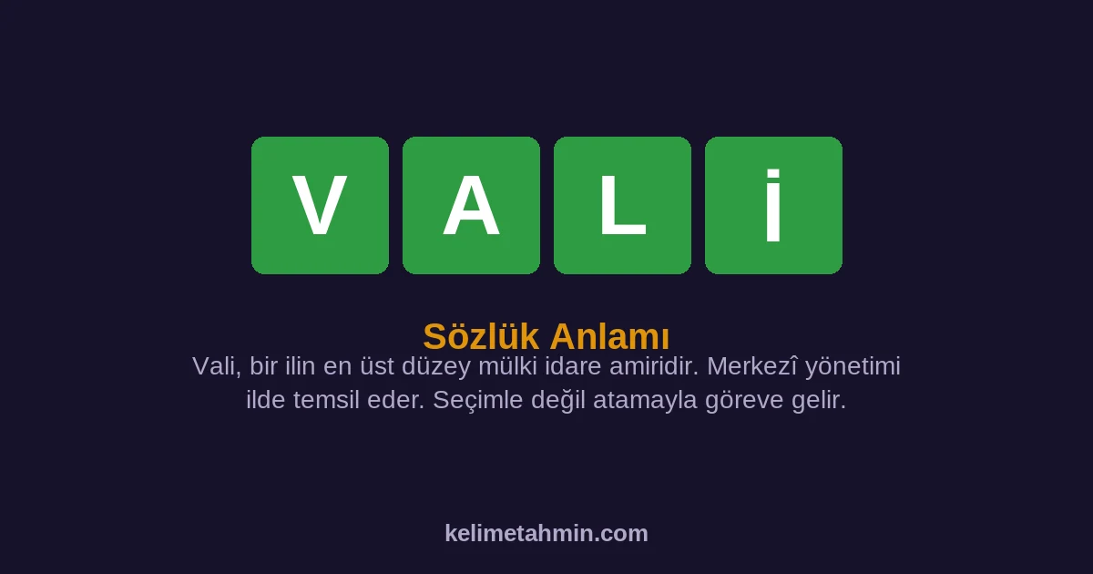 VALİ VALİ — anlamı ve örnek cümleler