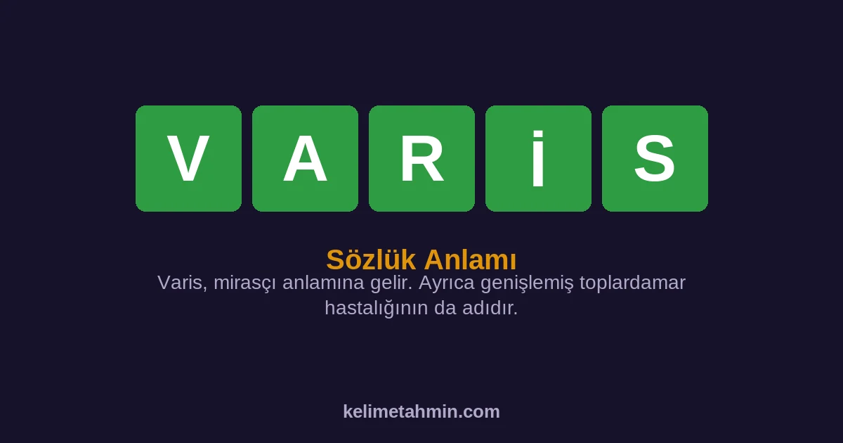 VARİS VARİS — anlamı ve örnek cümleler