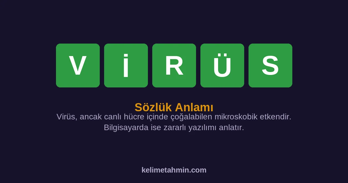 VİRÜS VİRÜS — anlamı ve örnek cümleler