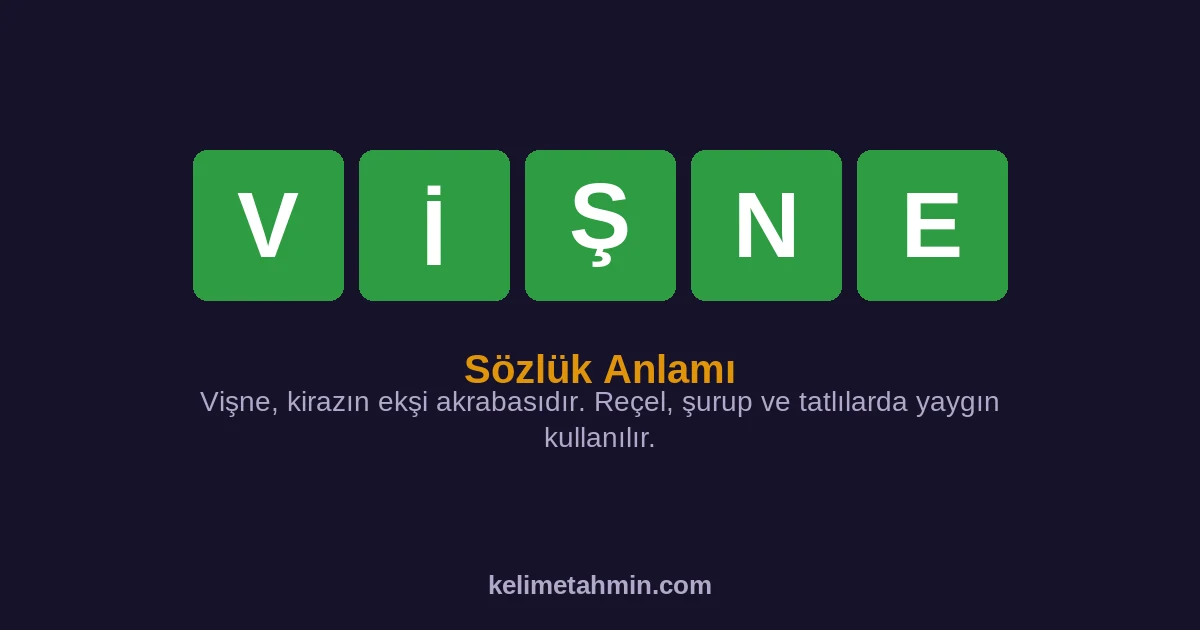 VİŞNE VİŞNE — anlamı ve örnek cümleler