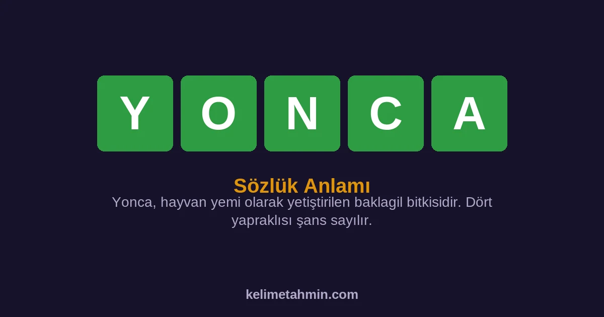 YONCA YONCA — anlamı ve örnek cümleler